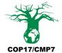 COP 17