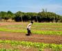Wage increases in South African agricultural sector