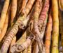 New energy source: Sugar cane