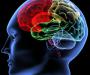 Durban secures neuroscience conference