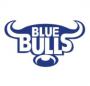SA hopes now pinned on Bulls